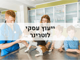 ייעוץ עסקי לוטרינר