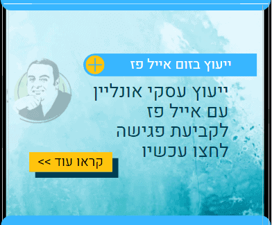 ייעוץ עסקי אונליין זום עם אייל פז