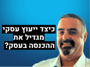 כיצד ייעוץ עסקי מגדיל את ההכנסה בעסק