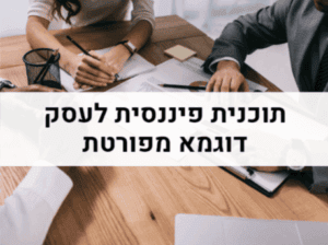 תוכנית פיננסית לדוגמא