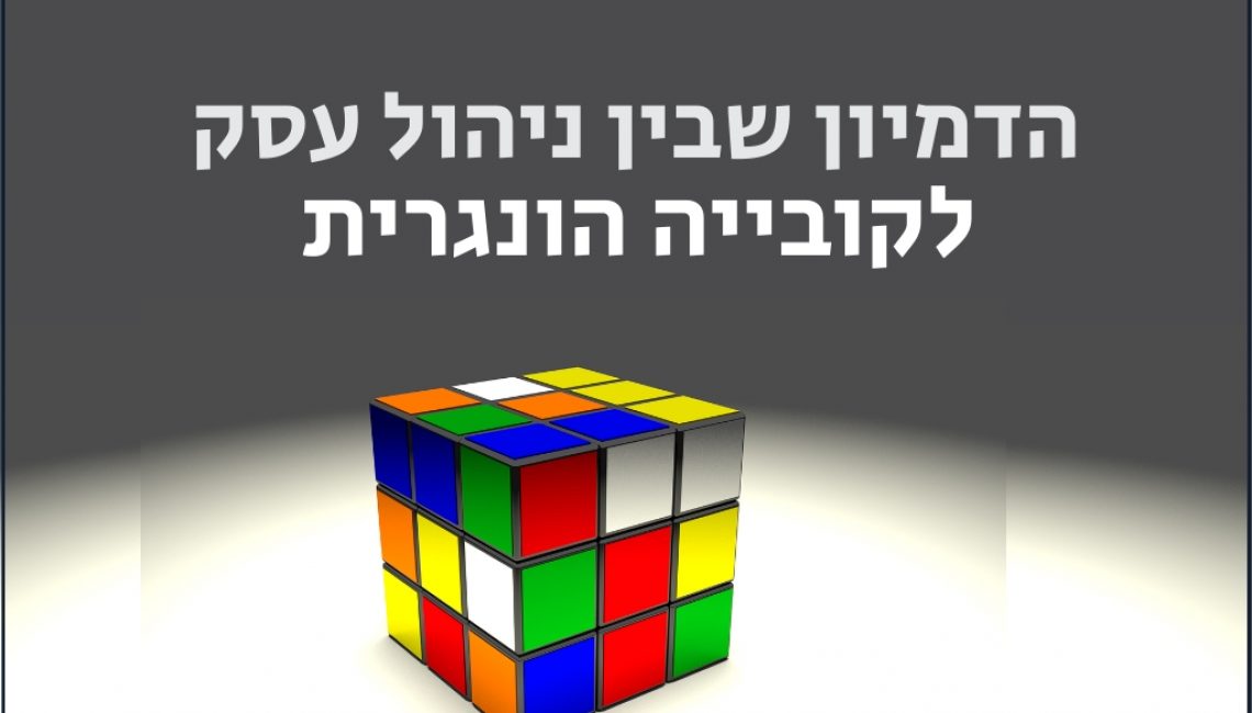 הדמיון שבין ניהול עסק לקובייה הונגרית ייעוץ עסקי ניהול עסק