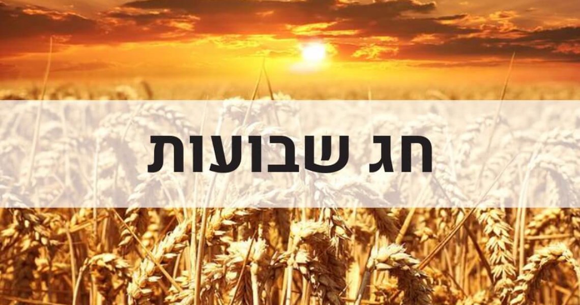 תמונה ראשית לבלוג (6) תמונה ראשית לבלוג (6)